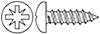 5-Blachowkret-z-lbem-walcowym-(POZIDRIV)-(-DIN-7981,-ISO-7049-)